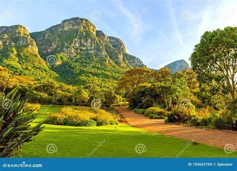 botanischer garten kirstenbosch fotos|200.000+ kostenlose Kirstenbosch Botanischer Garten und。